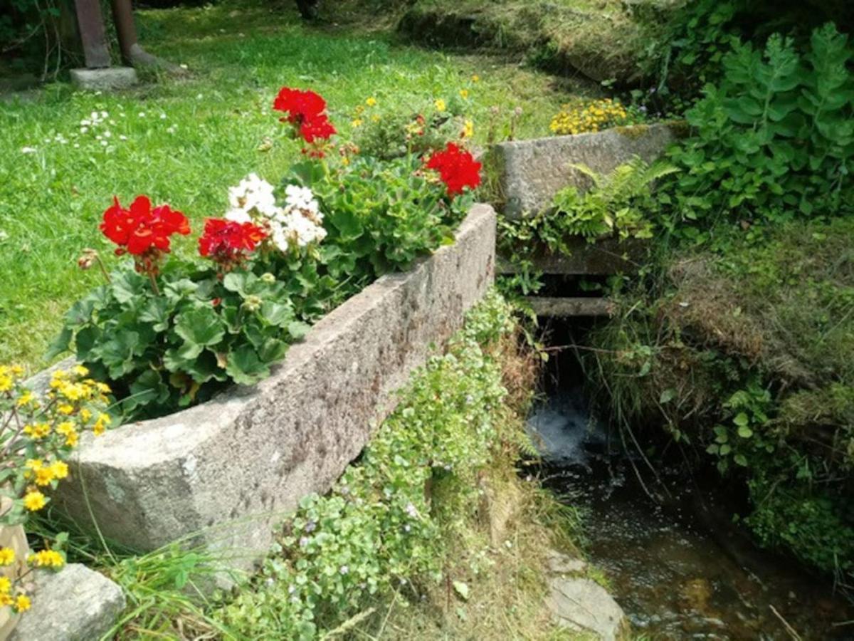 Chaloupka Na Konci Sveta Villa Raskov Exteriör bild