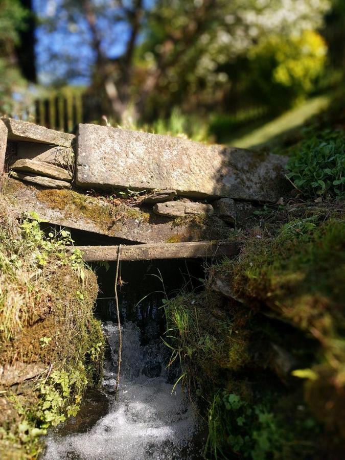 Chaloupka Na Konci Sveta Villa Raskov Exteriör bild